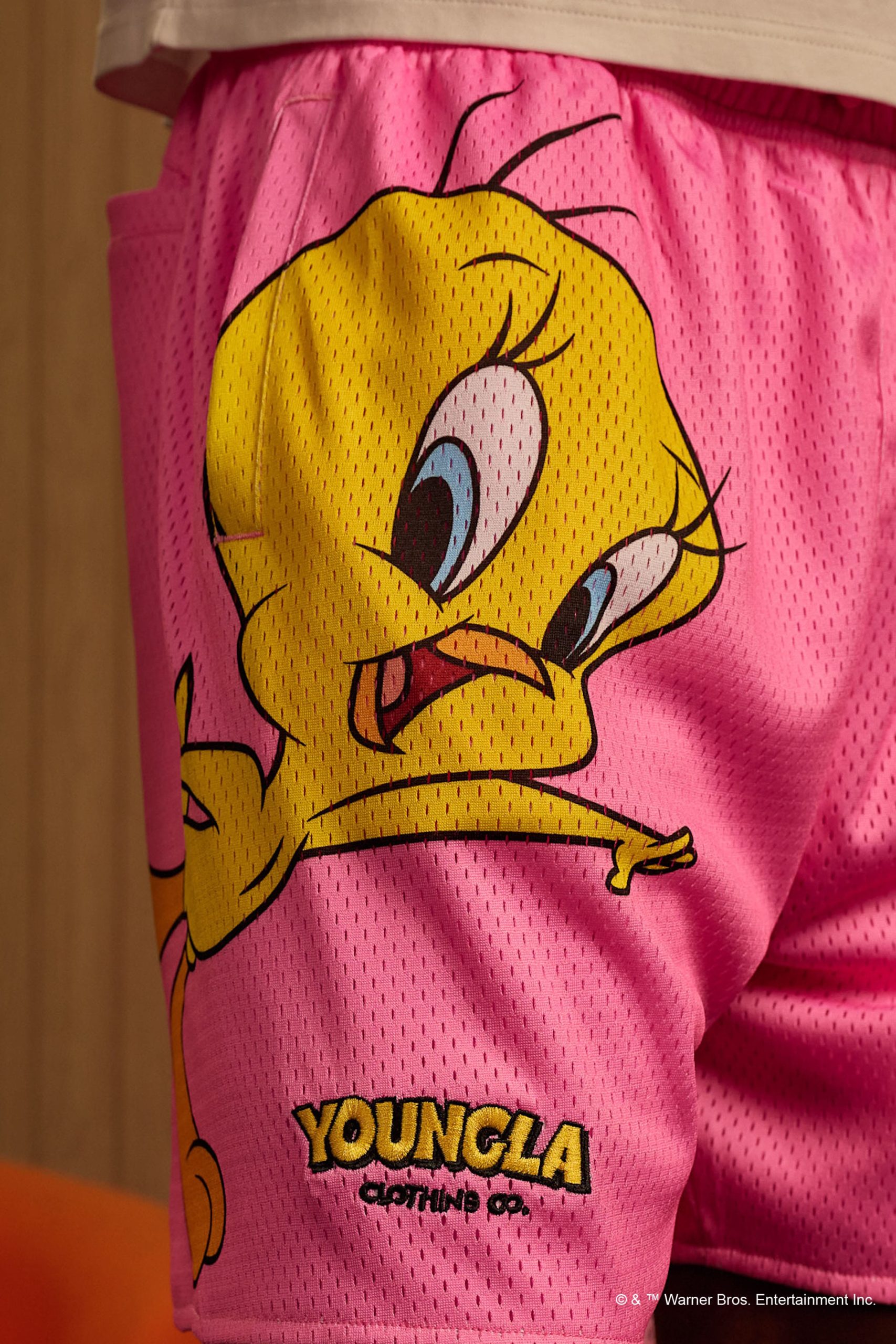 1098 - Looney Tunes Basketball Shorts - Image 6