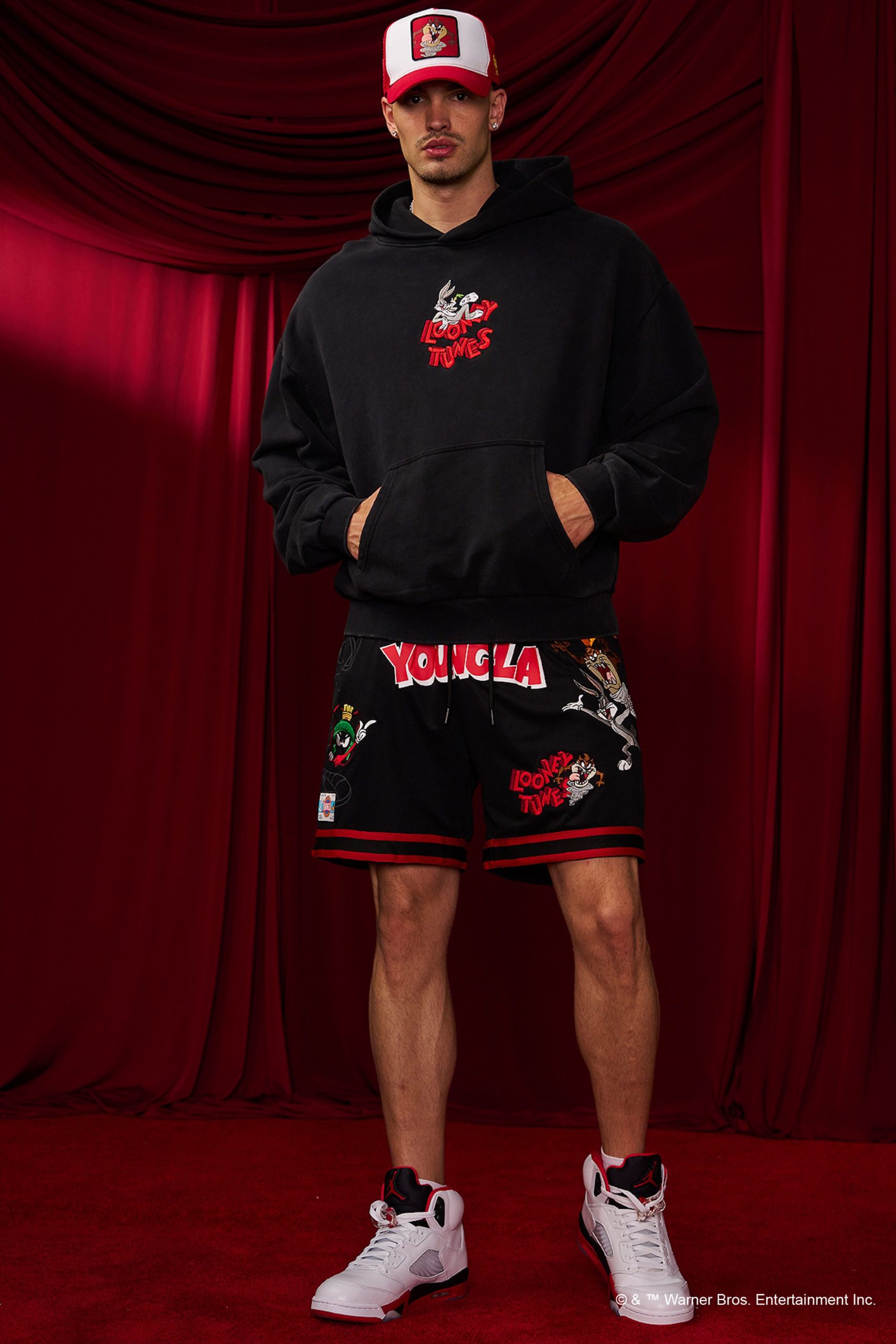 5114 - Looney Tunes Embroidered Hoodies - Image 6